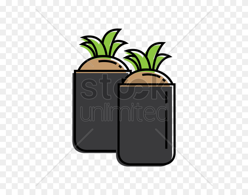 600x600 Plants In Planter Bags Vector Image - Planter PNG