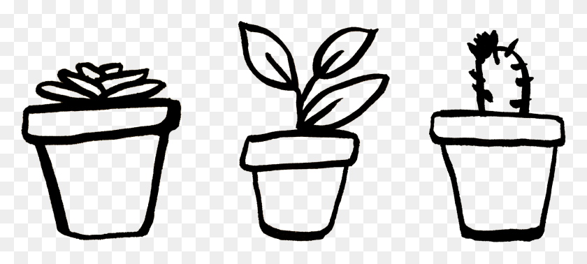 1954x799 Plants In Pots, Free Hand Drawn Design Element - Hand Drawing PNG