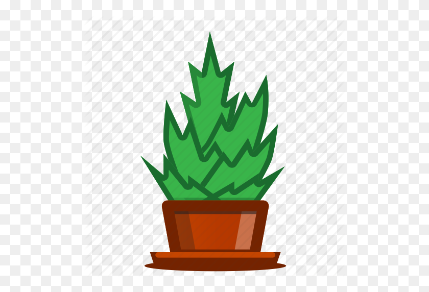 512x512 Plants, Potted Plant, Succulent, Trees Icon - Potted Plant PNG