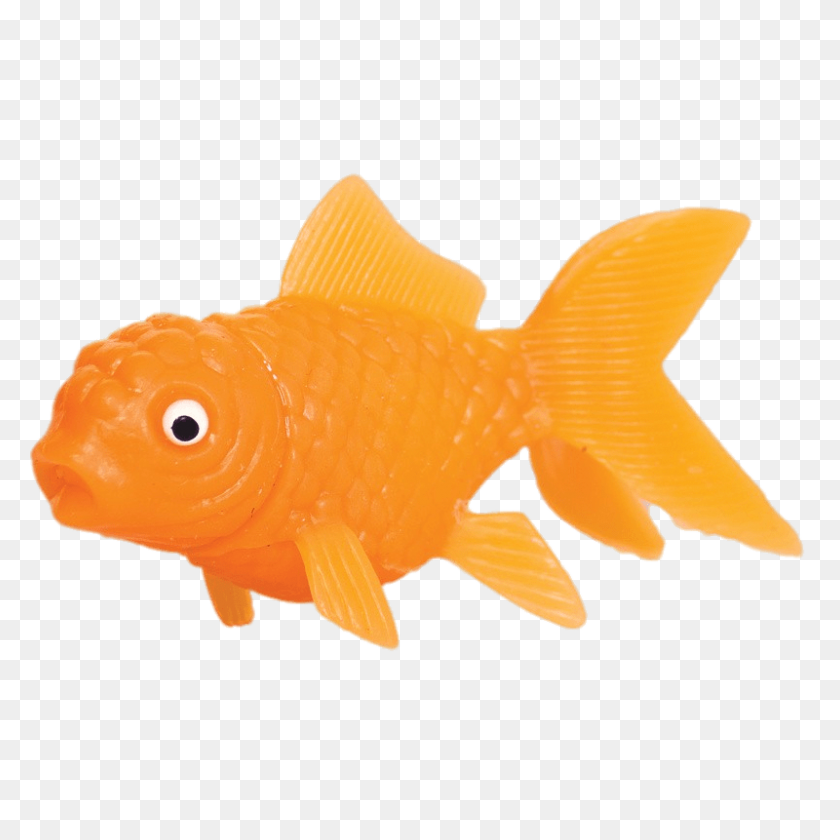 800x800 Plastic Goldfish Transparent Png - Goldfish PNG