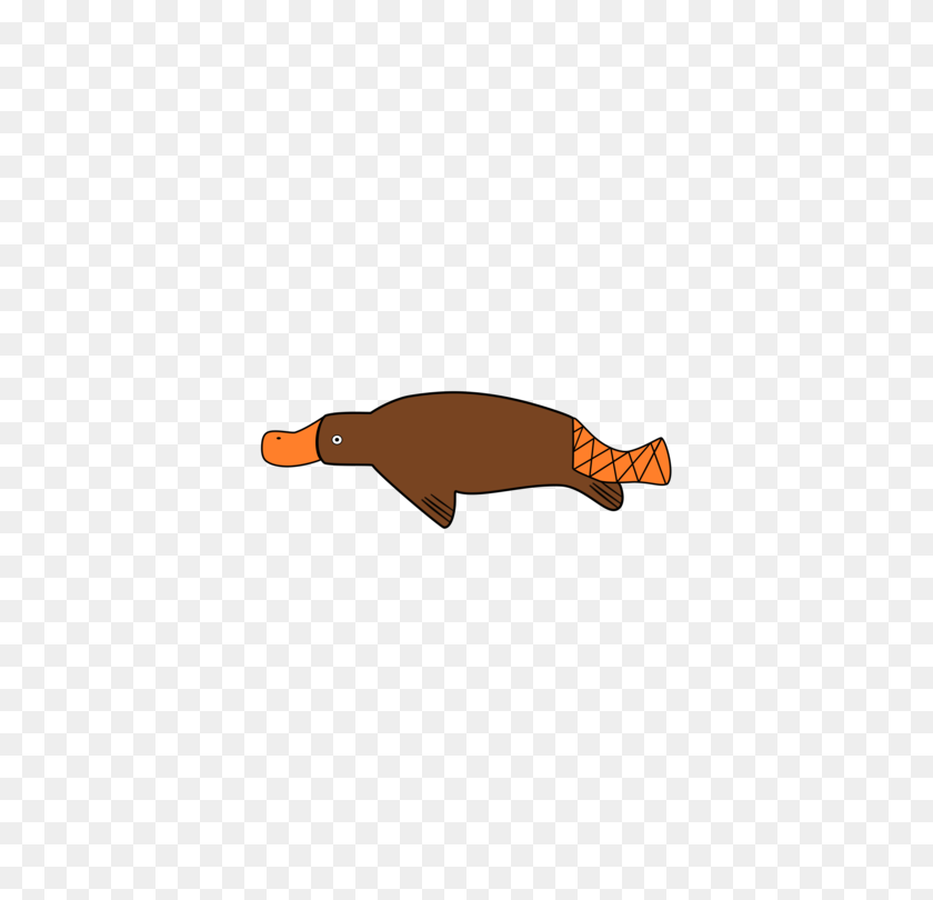 563x750 Platypus T Shirt Paper Greeting Note Cards Stationery Free - Platypus PNG