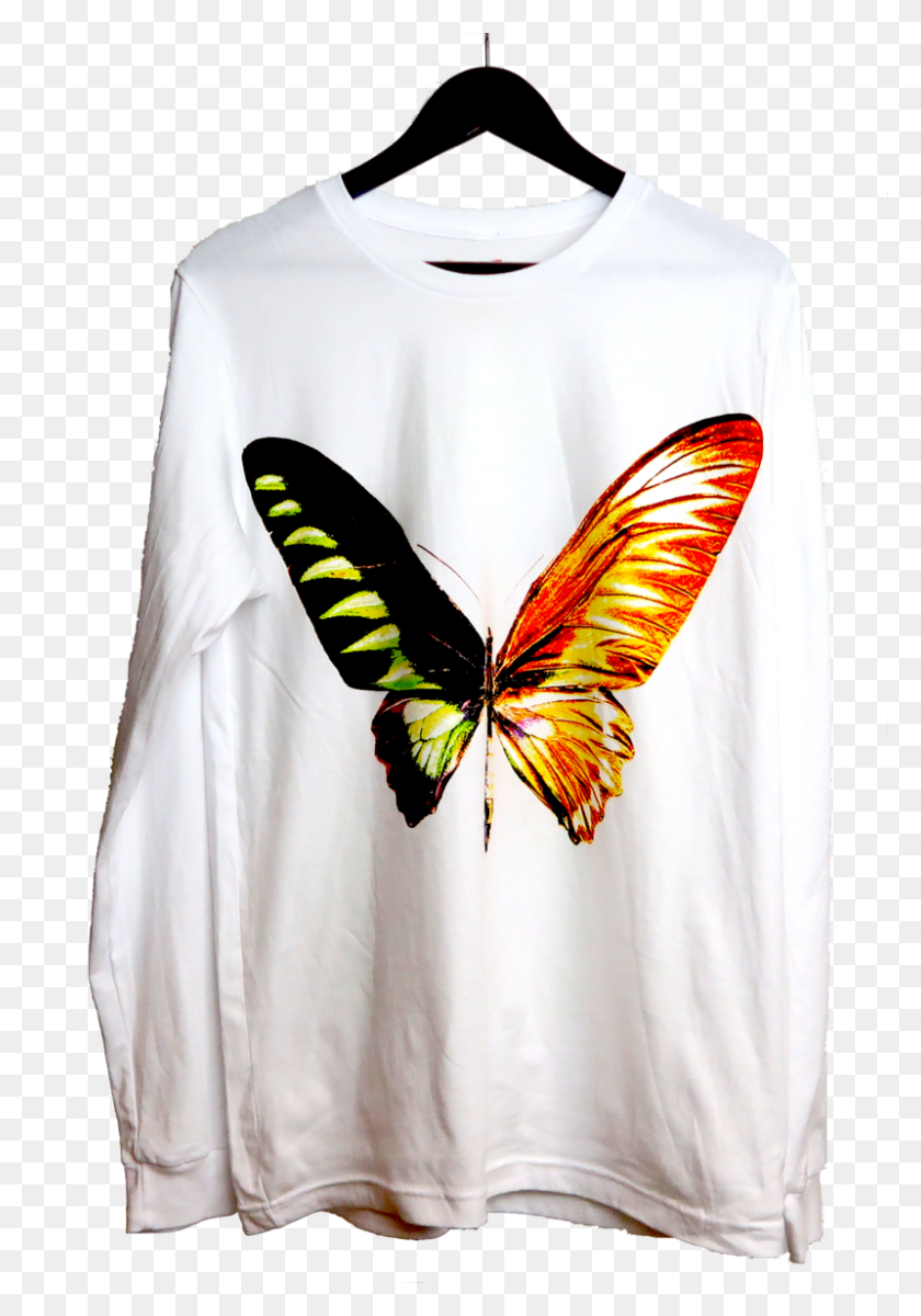 800x1170 Playboi Carti Butterfly Long Sleeve Merchwav - Playboi Carti PNG