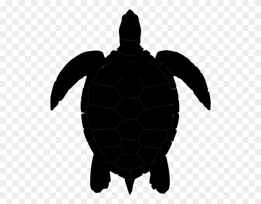 516x597 Слива Морская Черепаха Картинки - Морской Клипарт Черный И Белый