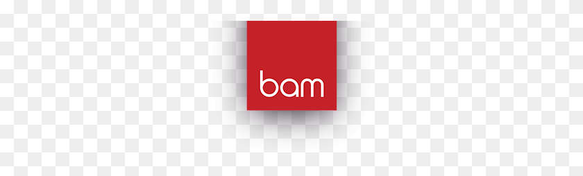 240x194 Png Bam Strategy Make An Impact Digital Marketing Agency - Bam PNG