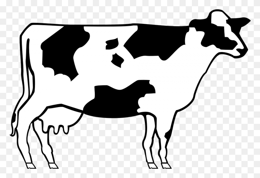 960x634 Png Корова Черно-Белая Прозрачная Корова Черно-Белые Изображения - Молочная Ферма Клипарт