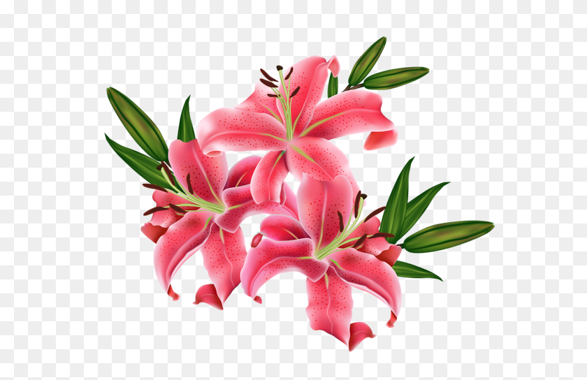 600x484 Png Flowers Flowers, Clip Art - Tiger Lily Clipart