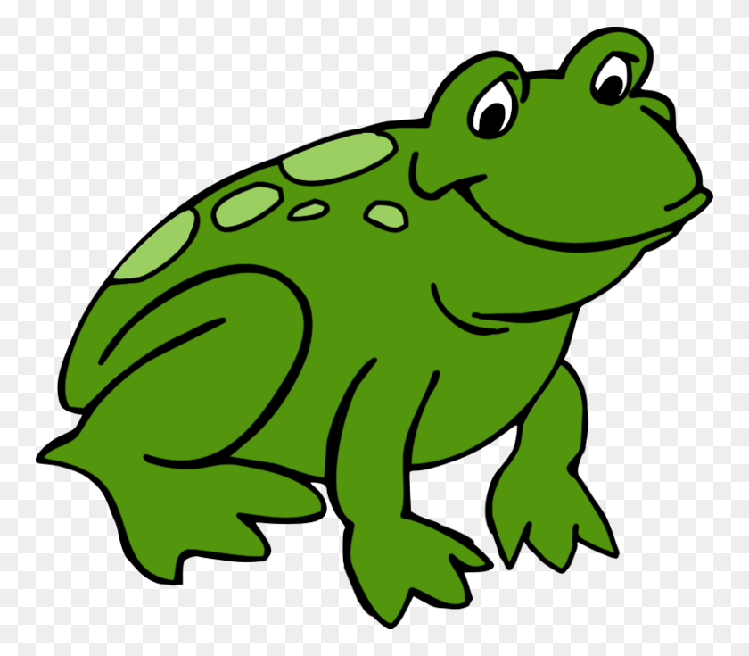 760x675 Png Frogs Free Transparent Frogs Images - Frog Clipart