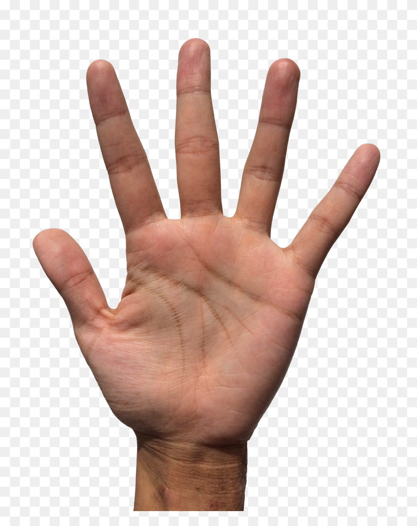 1600x2051 Png Hand Images Transparent Images - Grabbing Hand PNG