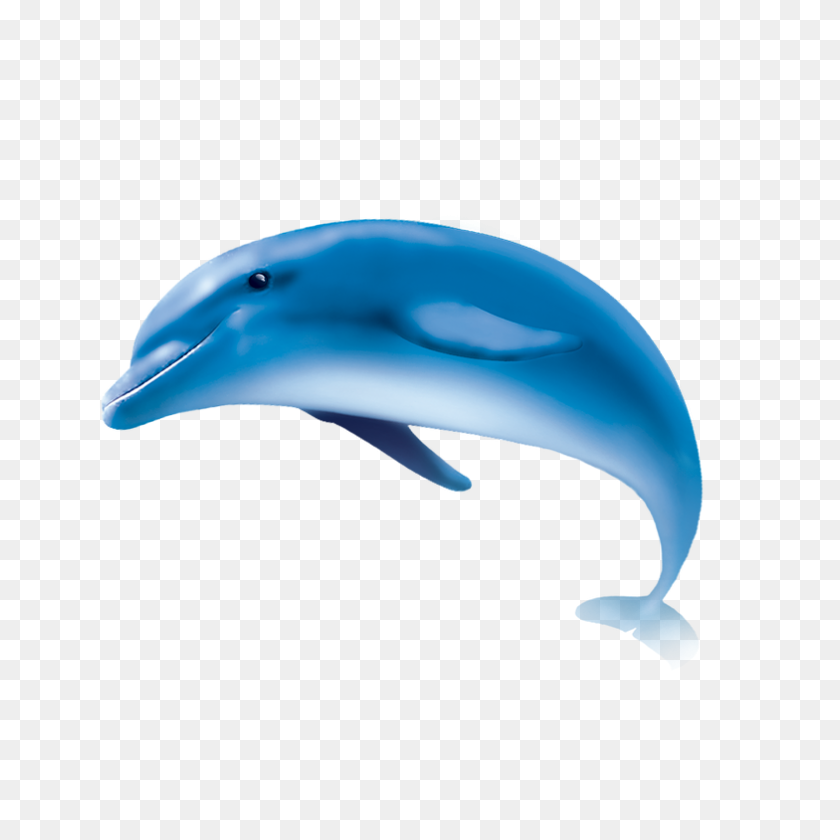 784x784 Png Дельфин Прозрачные Hd Изображения Дельфин - Дельфин Png