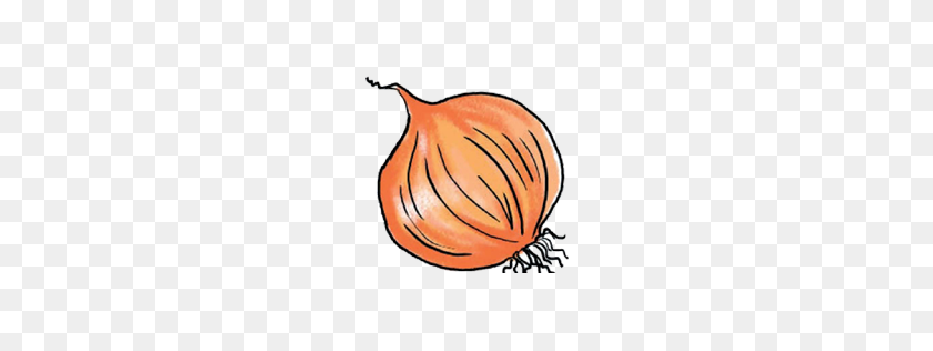 256x256 Png Onion Vector - Onion PNG