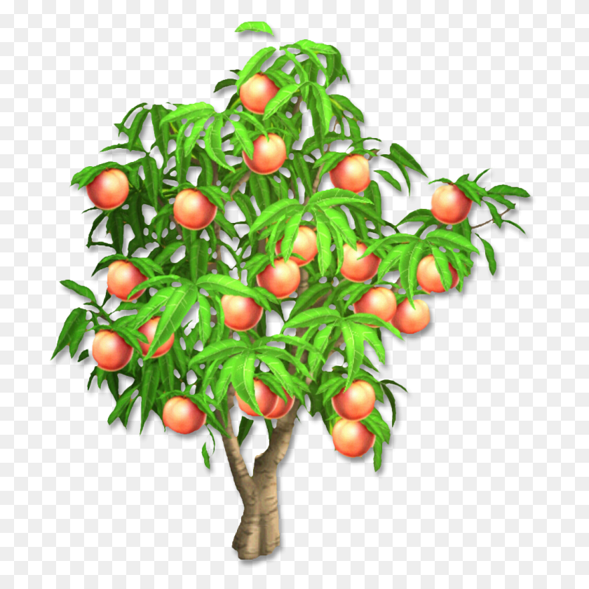 1051x1051 Png Peach Tree Transparent Peach Tree Images - Watercolor Tree PNG