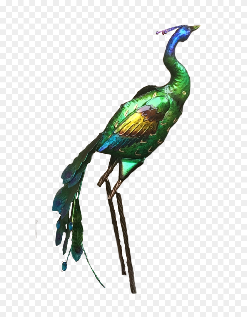 600x1017 Png Peacock Stock - Peacock PNG