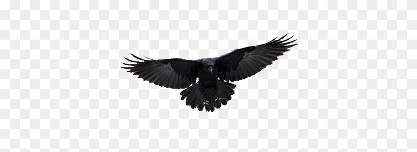 370x247 Png Photoshop In Crow - Crow PNG
