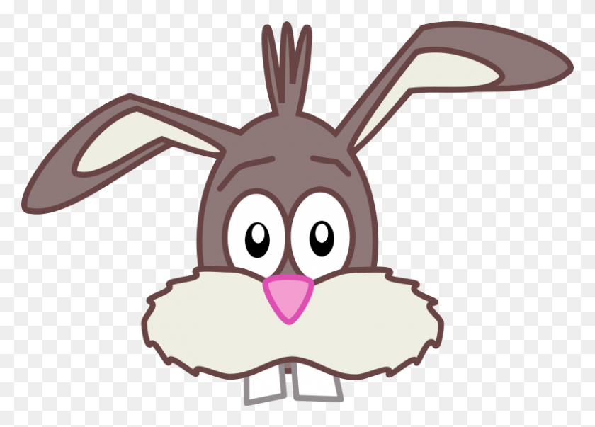 800x557 Png Кролик Лицо Прозрачное Лицо Кролика Изображения - Кролик Клипарт Png