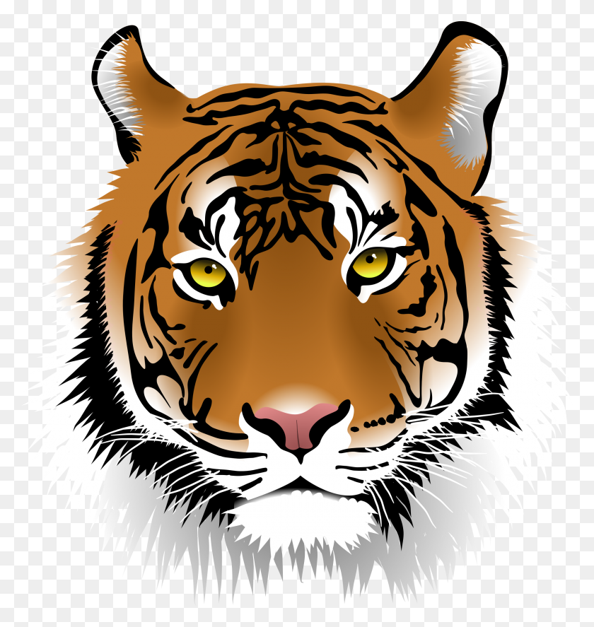 2262x2400 Png Tiger Face Transparent Tiger Face Images - Tiger Clipart PNG