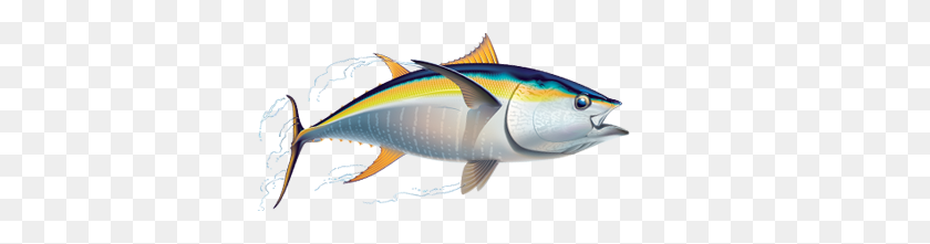 522x161 Png Tuna Transparent Tuna Images - Tuna PNG
