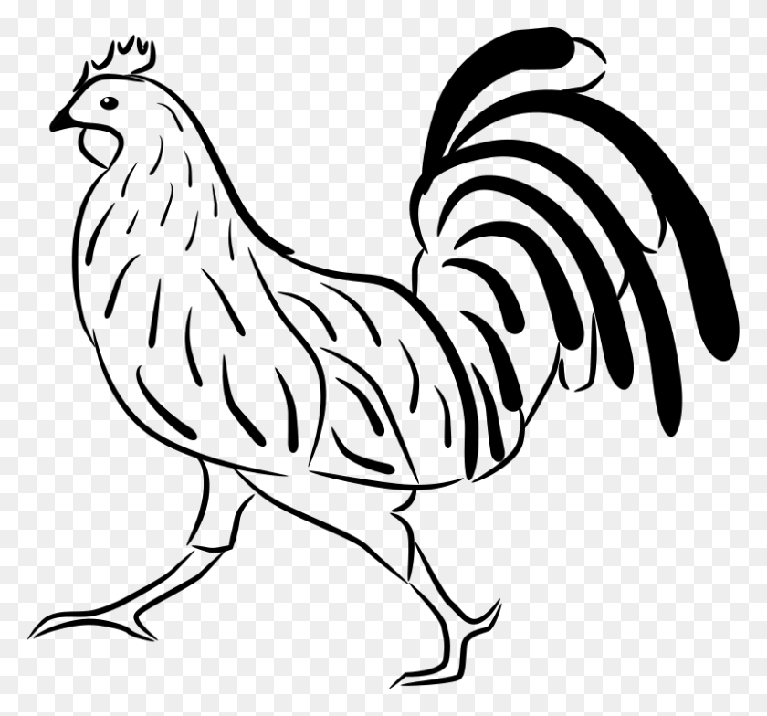 800x743 Pobarvanka Petelin Kids Rooster, Clip Art And Art - Free Rooster Clipart