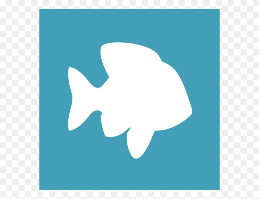 800x600 Pof Много Рыбы Логотип Png С Прозрачным Вектором - Рыба Логотип Png