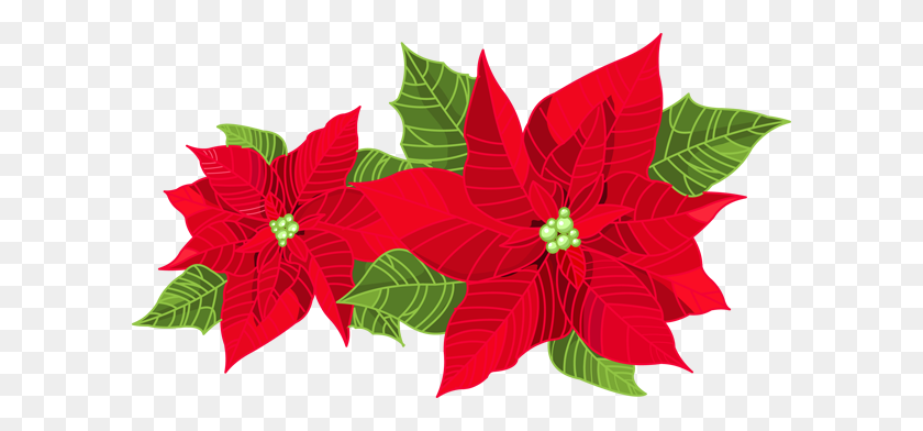 600x332 Poinsettia Clipart Clipart Holiday Scrapbook, Cards, Images - Poinsettia Clipart