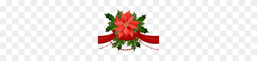 200x140 Poinsettia Clip Art Red Poinsettia Flower Religious Christmas - Holly Clipart PNG