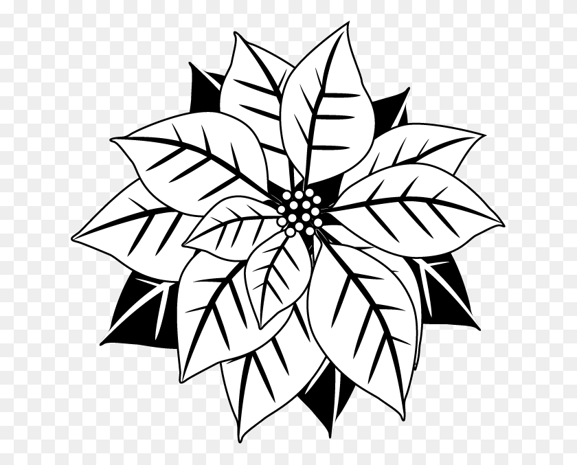 633x617 Poinsettia Clipart Black And White - Покемон Клипарт Черный И Белый