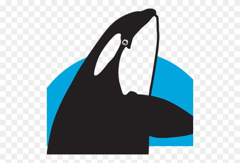 512x512 Маяк Point Arena The Whale Trail - Orca Whale Clipart