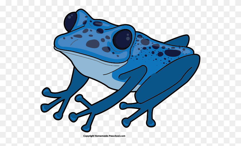 559x449 Poison Dart Frog Clipart - Colorful Frogs Clipart