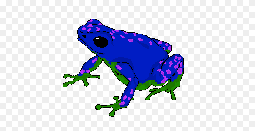 464x373 Poison Dart Frog Transparent Images Png - Poison Dart Frog Clipart