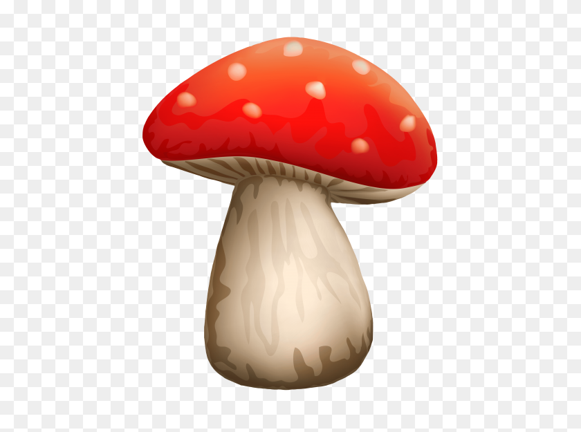 480x565 Poisonous Red Mushroom With White Dots Png - White Dots PNG