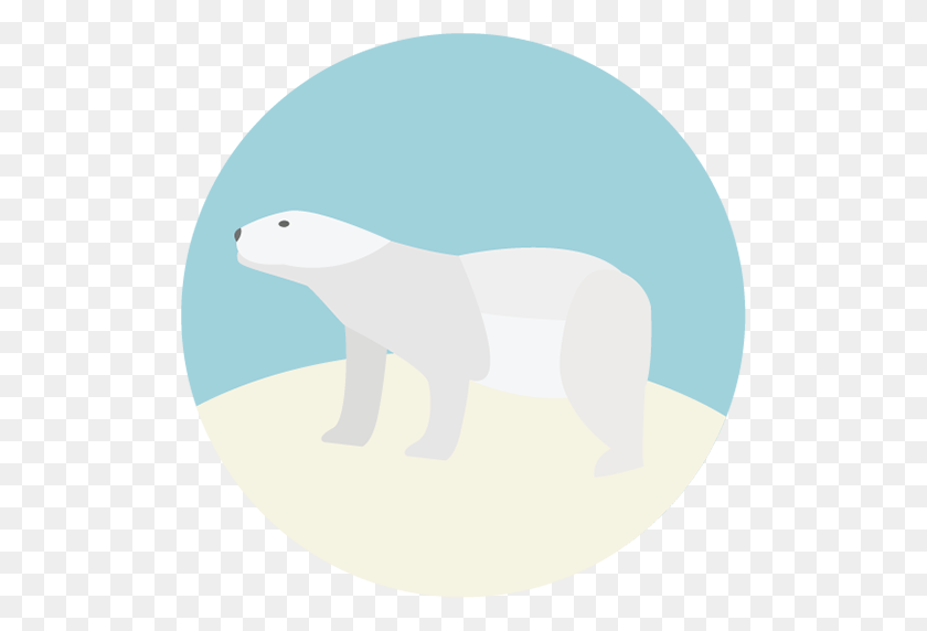 512x512 Polar Bear Png Image Royalty Free Stock Png Images For Your Design - Polar Bear PNG