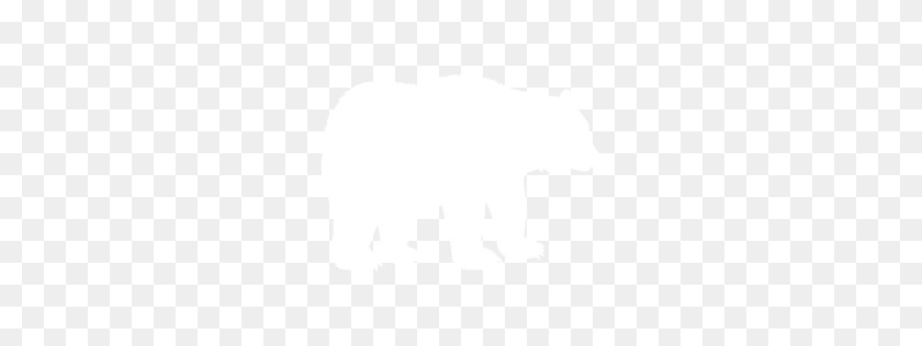 256x256 Белый Медведь Png Изображения Веб-Иконки Png Изображения - Медведь Png