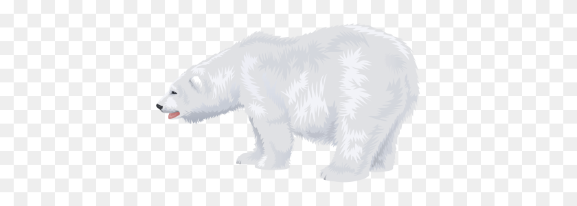 400x240 Polar White Bear Png Dlpng - Polar Bear PNG