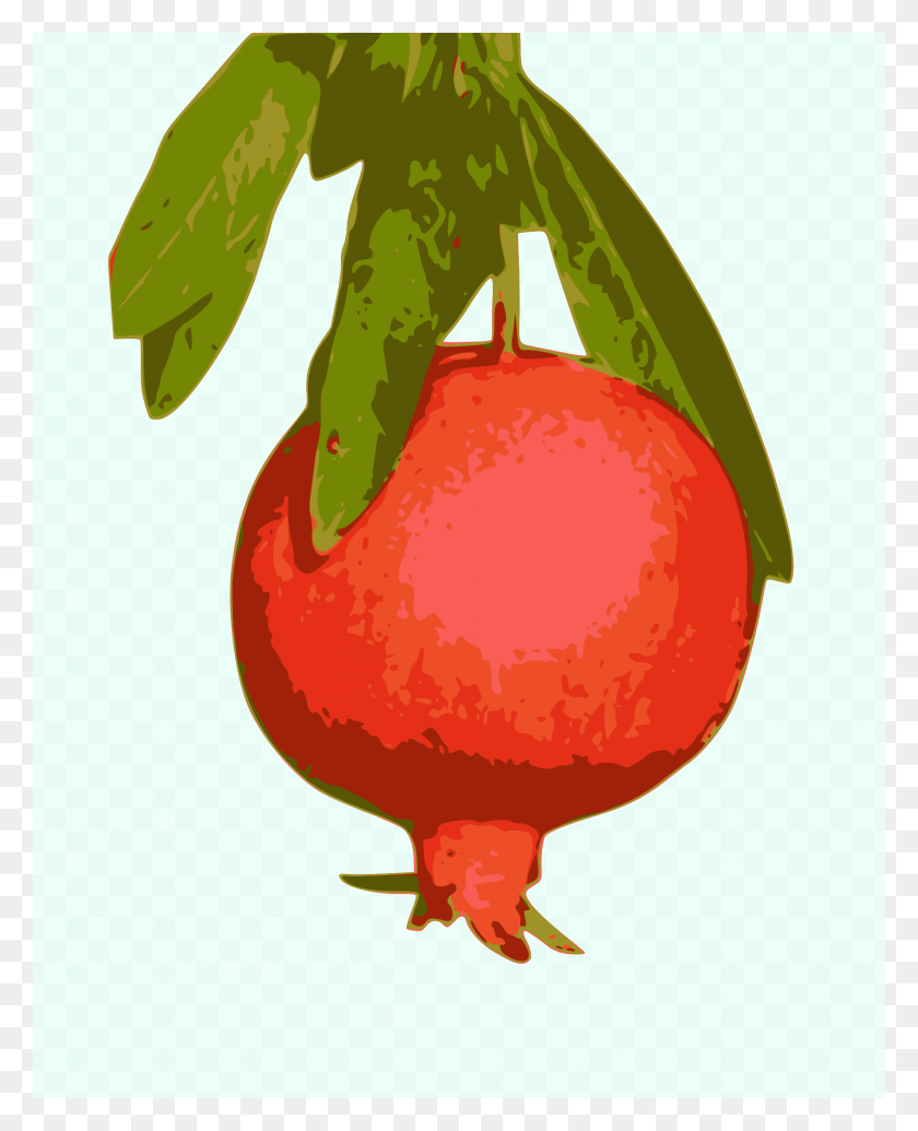 1920x2400 Pomegranate Icons Png - Pomegranate PNG