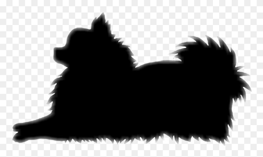 980x556 Pomeranian Silhouette Dog Pom - Pomeranian PNG