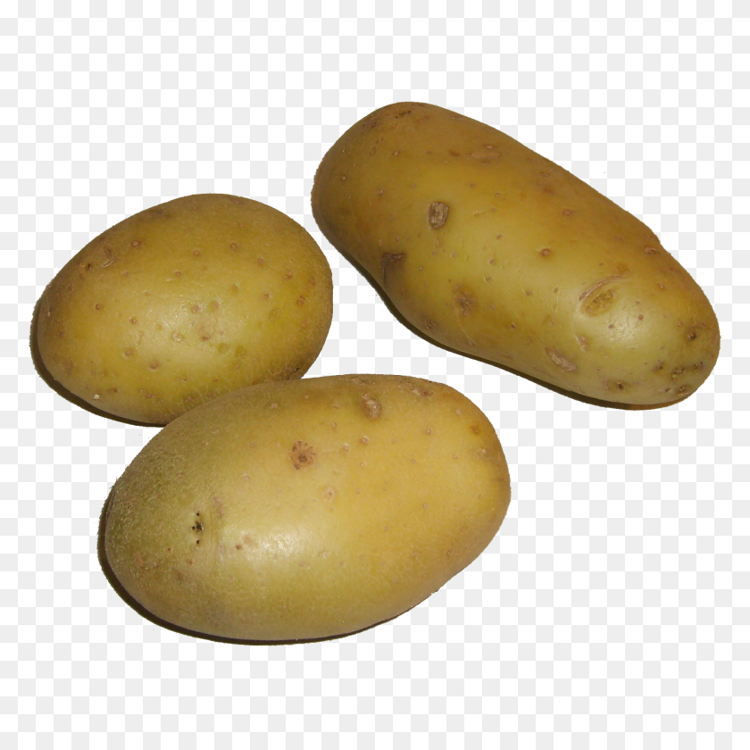 1740x1740 Pommes De Terre - Potatoes PNG