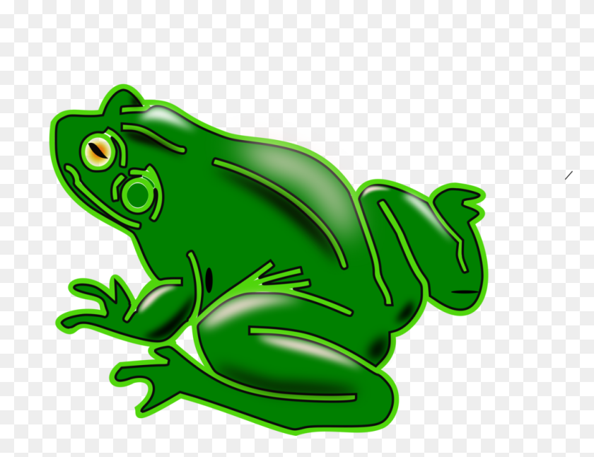 998x750 Пруд Лягушки Амфибии Позвоночных Американская Зеленая Древесная Лягушка Бесплатно - Лягушка Пруд Клипарт