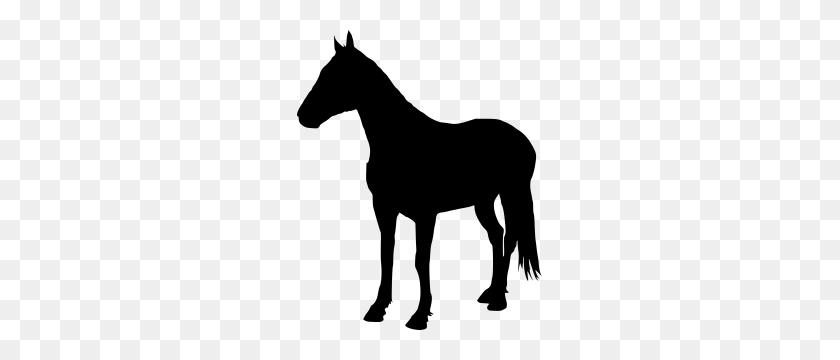 245x300 Клипарт Pony Ride - Мустанг Лошадь Клипарт