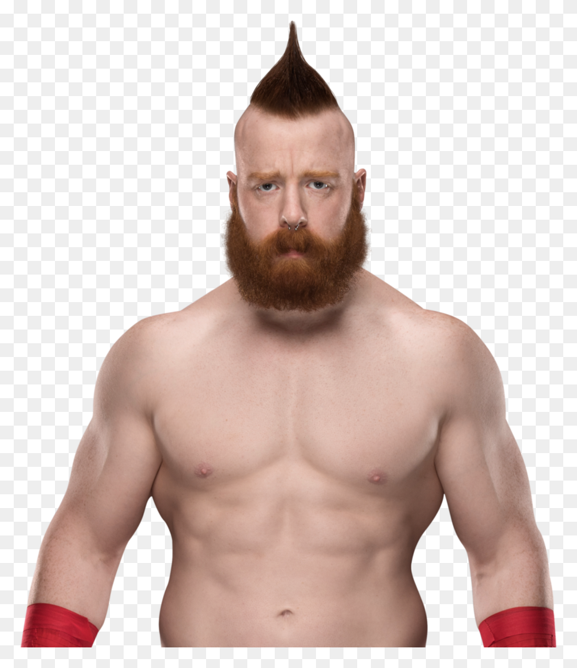 1024x1199 Popular And Trending Bisep Stickers - Sheamus PNG