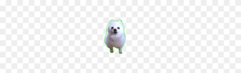 259x194 Popular And Trending Gabe Stickers - Gabe The Dog PNG