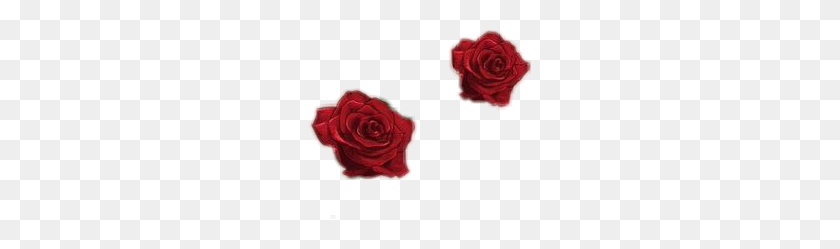 222x189 Popular And Trending Rosas Rojas Stickers - Rosas Rojas Png