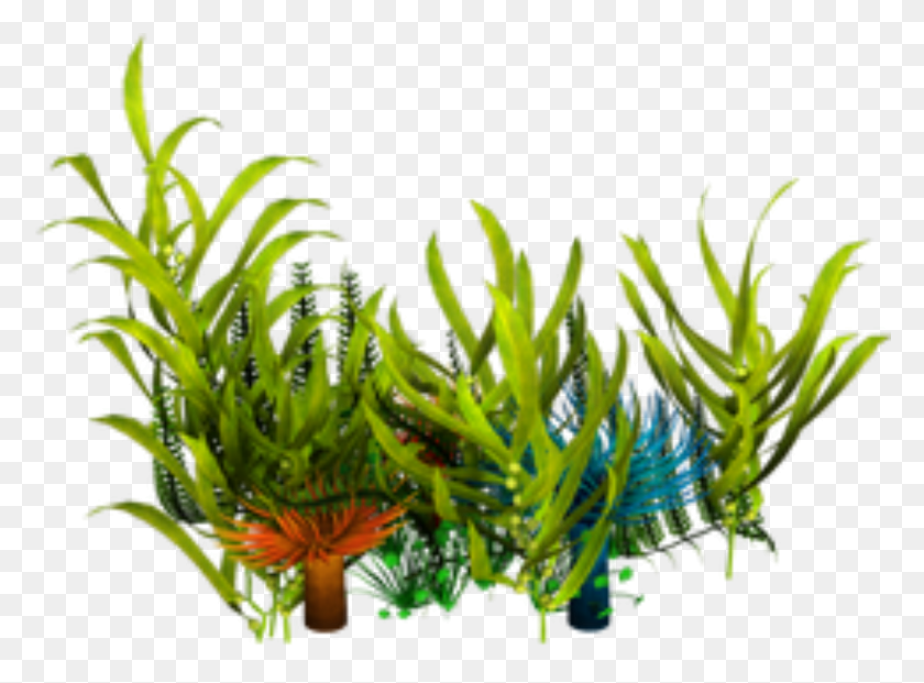1671x1203 Popular And Trending Seaweed Stickers - Seaweed PNG