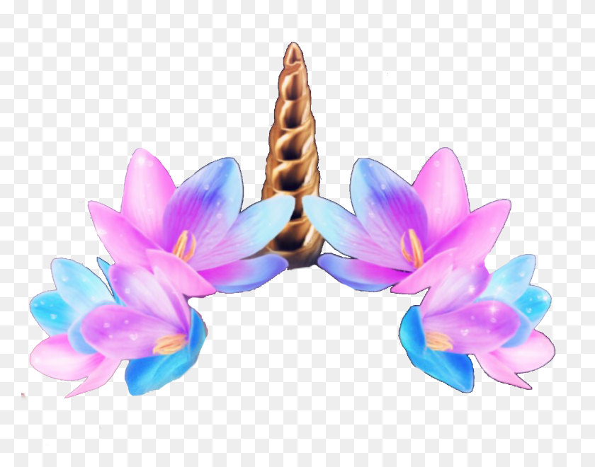Roblox Flower Crown Code
