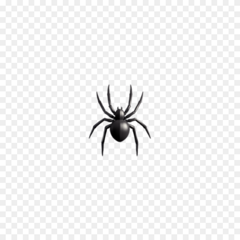 3464x3464 Popular And Trending Spinne Stickers - Spinne Clipart
