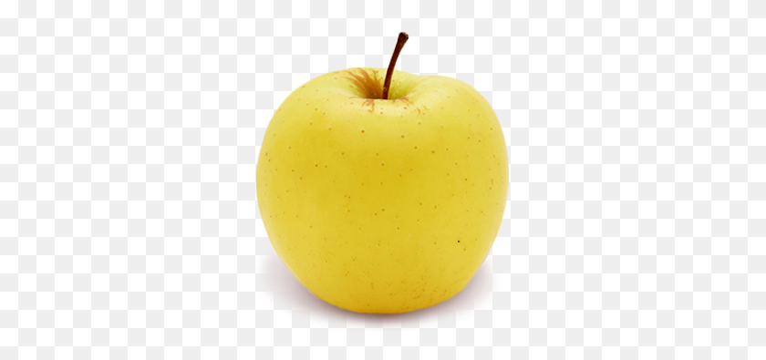 337x335 Popular Varieties - Apple Pie PNG