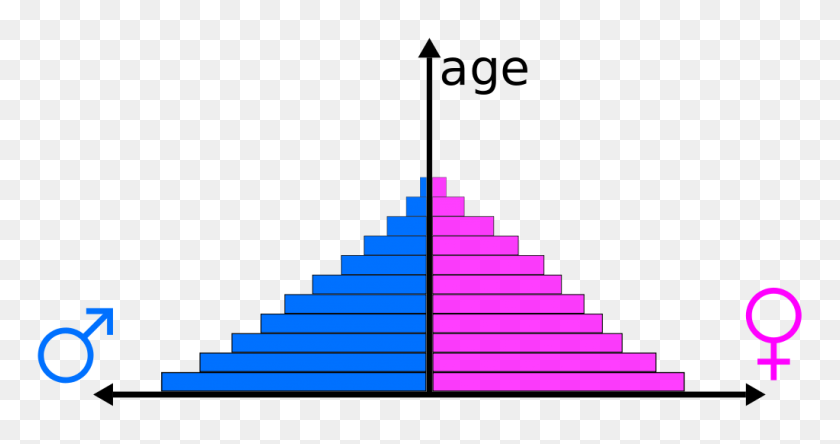 1024x505 Population Pyramid Example - Scope Clipart
