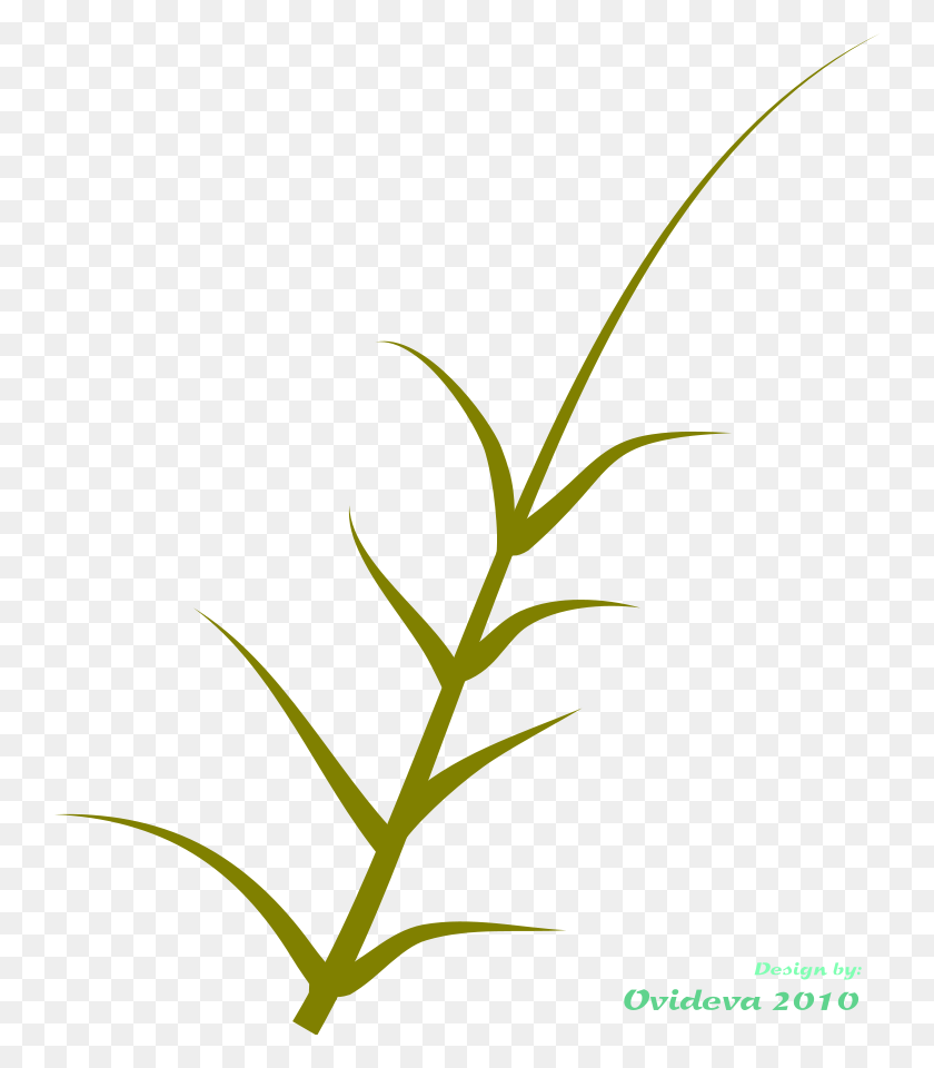 742x900 Клипарт Горшечное Растение Май - Бобовое Растение