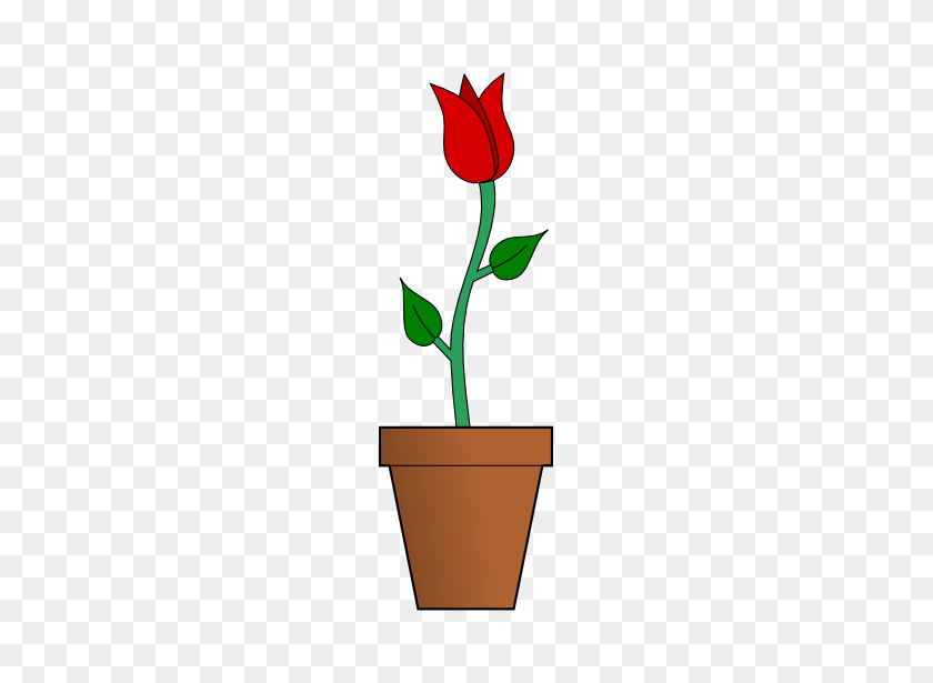 265x555 Pot Plant Clipart Rose - Rose Bud Clipart