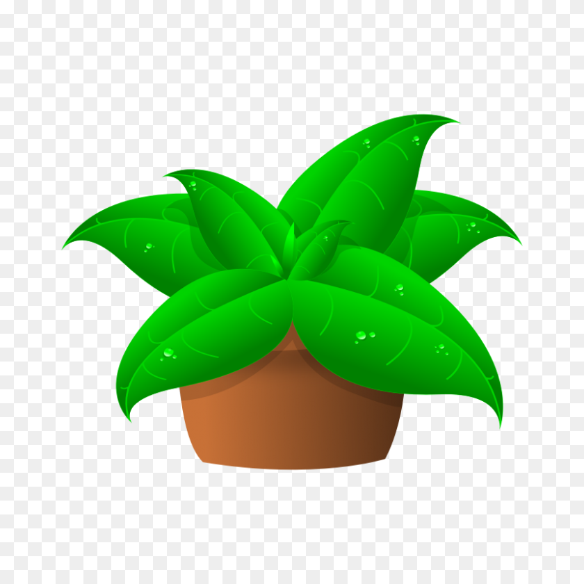 800x800 Pot Plant Clipart Small Plant - Weed Plant Clipart