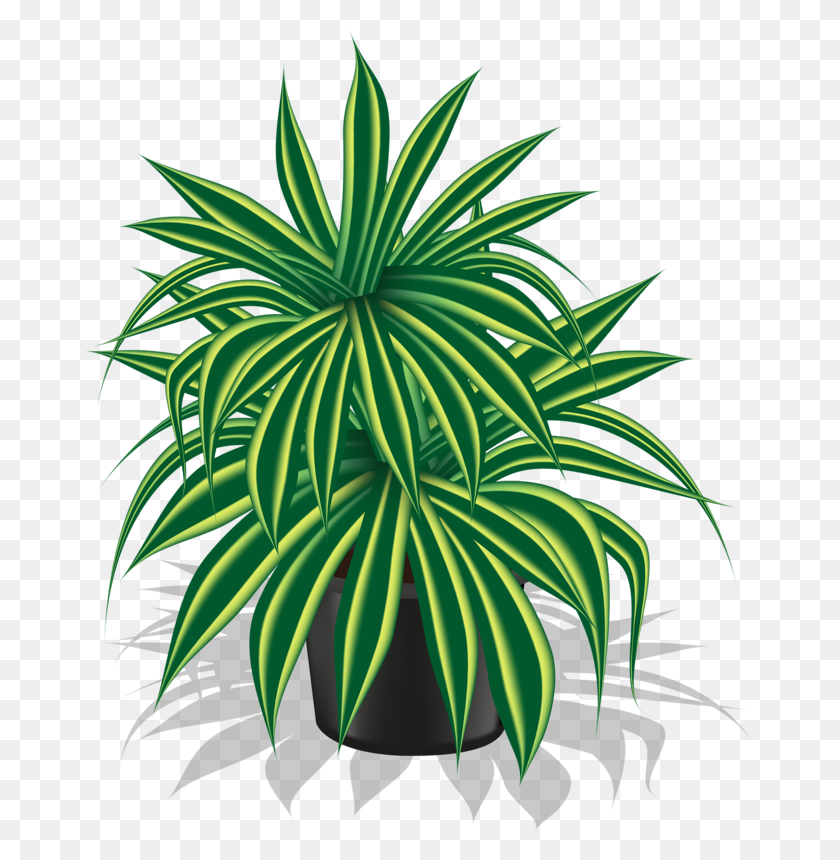 668x800 Pot Plant Clipart Spring - Seedling Clipart