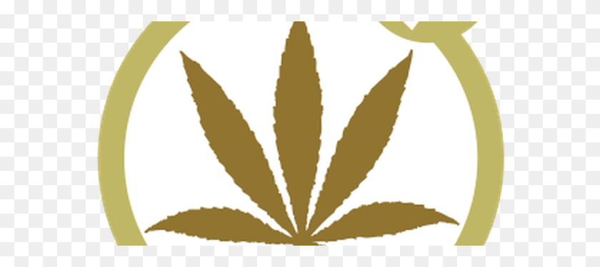 600x315 Beneficios De La Marihuana En Su Mayoría De Humo Algunos Hechos Humeantes - Humo De Hierba Png